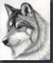 Wolfface Wolfface